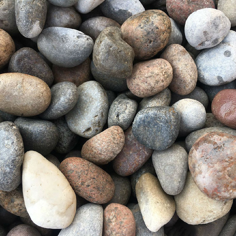 鹅卵石豆石